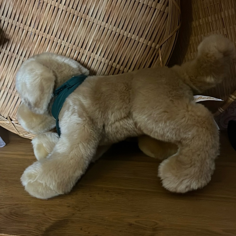 😄Cabela’s stuffed puppy dog toy 2019